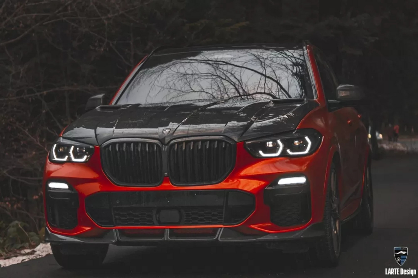 LARTE Performance Grille Trim for BMW X5 G05 2019-2023 - Rev In Style Inc