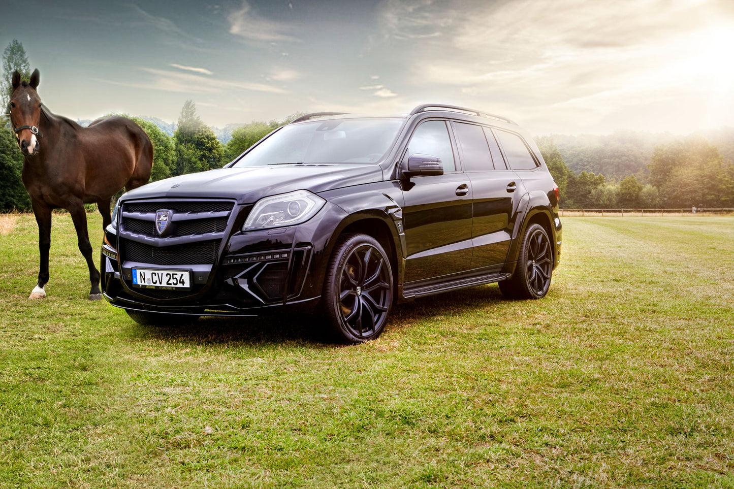 LARTE Mercedes - Benz GL - Rev In Style Inc