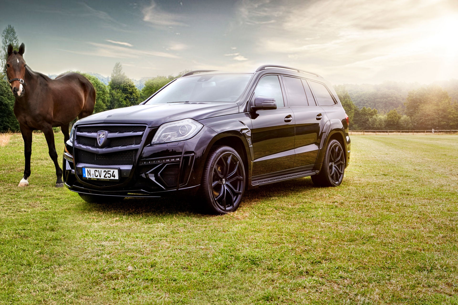 LARTE Mercedes - Benz GL - Rev In Style Inc